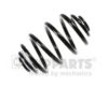 NIPPARTS N5550300 Coil Spring